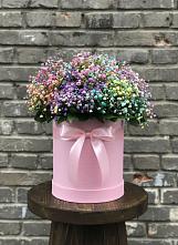 Цветочная композиция из Гипсофила и Розы в шляпной коробке в Ворсме