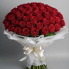 Букет 101 Красная роза Блэк Мэджик в Ворсме