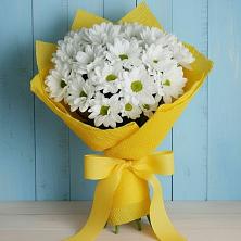 Букет цветов из:  Хризантемы в Ворсме