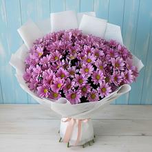 Букет цветов из:  Хризантемы в Ворсме