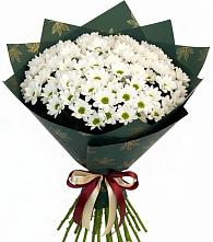 Букет цветов из:  Хризантемы #REPLACE_PRED# Ворсме