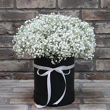 Цветочная композиция из Гипсофила в шляпной коробке #REPLACE_PRED# Ворсме