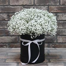 Цветочная композиция из Гипсофила в шляпной коробке в Ворсме