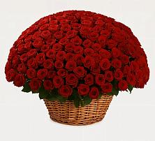 Премиум букет из: Розы в Ворсме