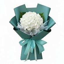 Букет цветов из:  Гортензия в Ворсме